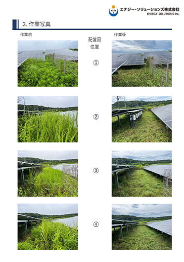 除草報告書作業写真01