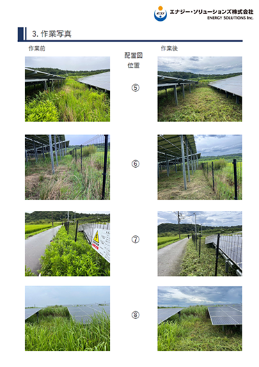 除草報告書作業写真02